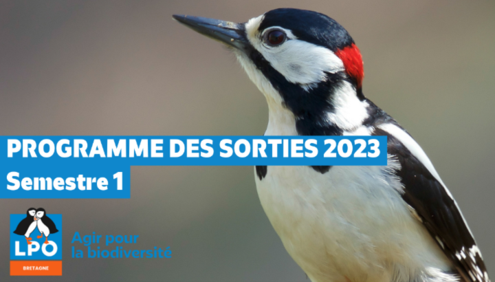 Le Programme des sorties Semestre 1 - 2023 est disponible !